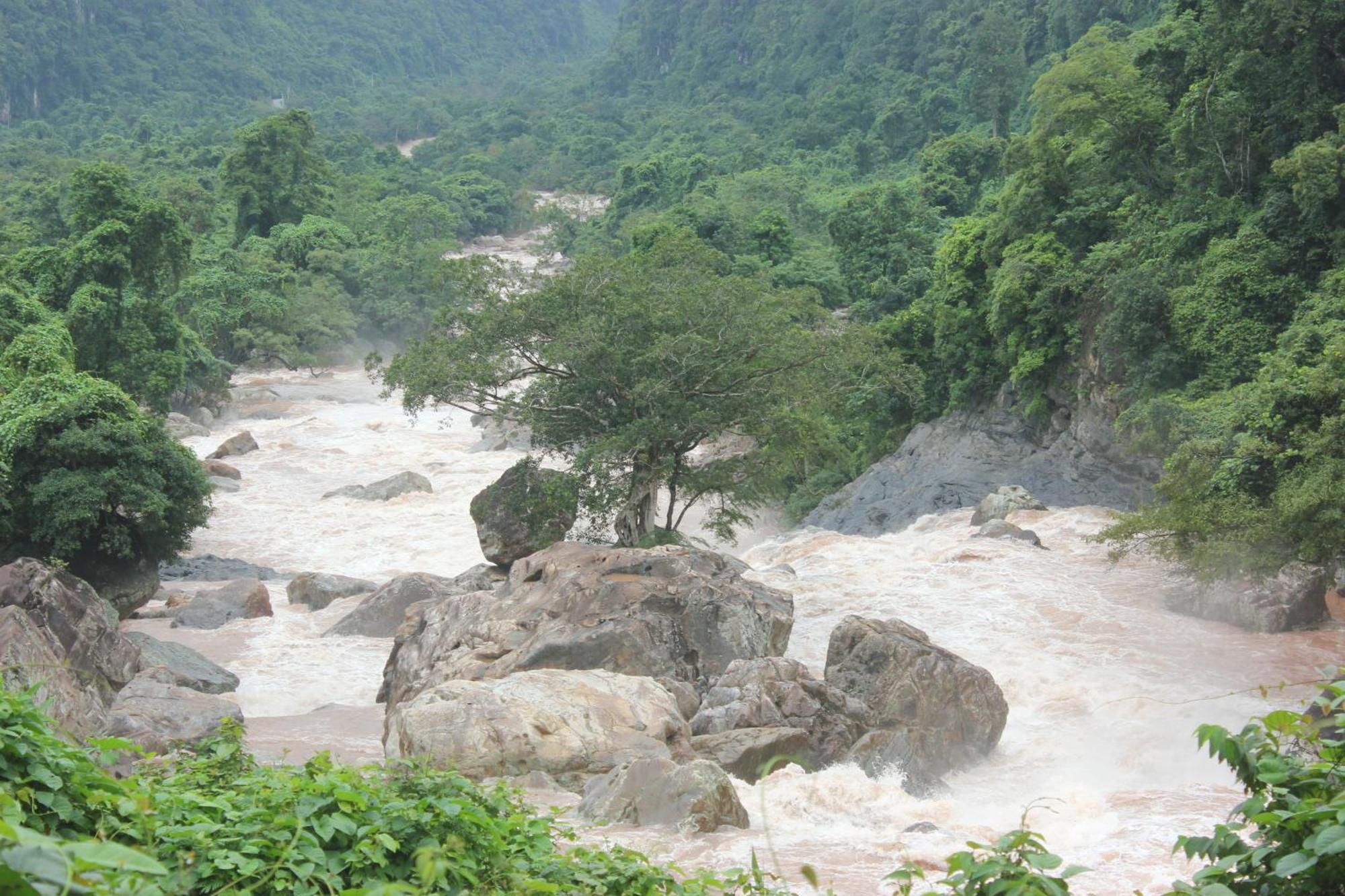 Behome Homestay Phong Nha Exteriör bild