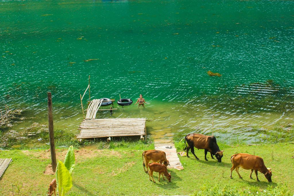 Behome Homestay Phong Nha Exteriör bild